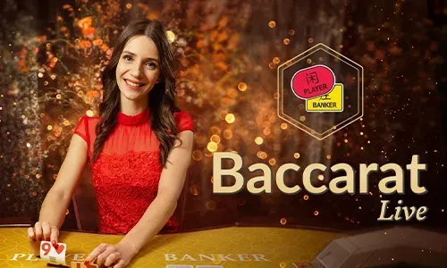 Live Dealer Casino on Megapari App